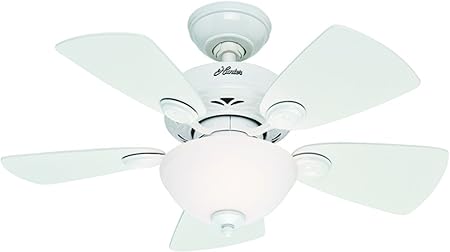Hunter Indoor Ceiling Fan With Light And Pull Chain Control