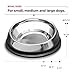 Enhanced Pet Bowl, Stainless Steel Slanted Dog Bowl with Raised Ridge, Food-Grade Non-Slip No Spill Bowl for Dogs, Less Mess, Less Gas, and Better Digestion (Medium)