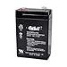 Honeywell Casil Genuine CA631 6V 3.1Ah SLA Battery for 7845GSM-K14139