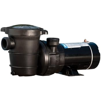 Amazon.com : Doheny's Replacement Swimming Pool Pump for