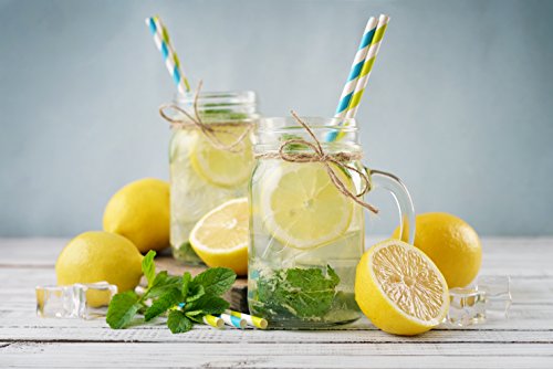 Golden Spoon Glass Drinking Jar/Mug with Handle, Stainless Steel Lid, Stainless Steel Colored Lid, Colored Straws, Regular Mouth, Dishwasher Safe, BPA Free, Set of 6 (16 oz/Pint)