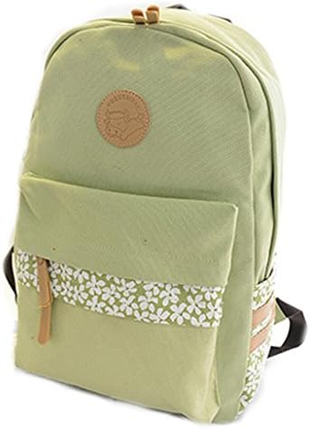 Fresh Type Girls Double Shoulders Backpack Nice for School Student