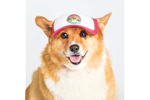 Sunset Collection, PupLid Trucker Hats for Dogs (Medium) Premium Stylish Sun Protection for The Modern Dog - Adjustable for Secure Comfortable Fit on Active Dogs (Pink, Surfer Dog)