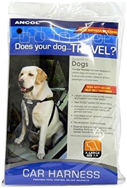 ancol dog car harness