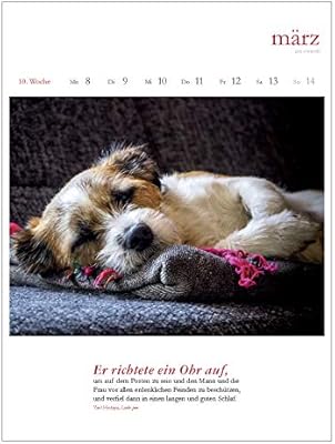 Literarischer Hunde Kalender 2021 Wochenkalender Mit Fotografien Und Zitaten Amazon Se Books
