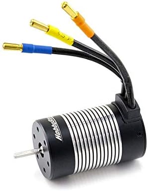 rc car with brushless motor