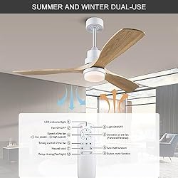 BOJUE 60” Ceiling Fans with Light Remote