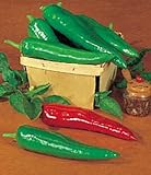 Pepper Hot Anaheim Chili Great Heirloom Vegetable