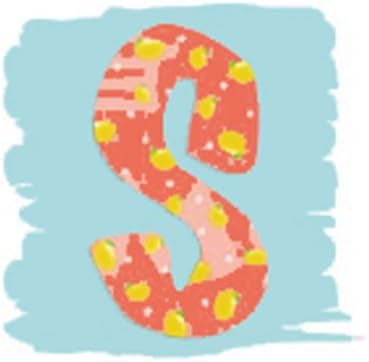 Alphabets 3D Cushion Cover Kit -Letter S