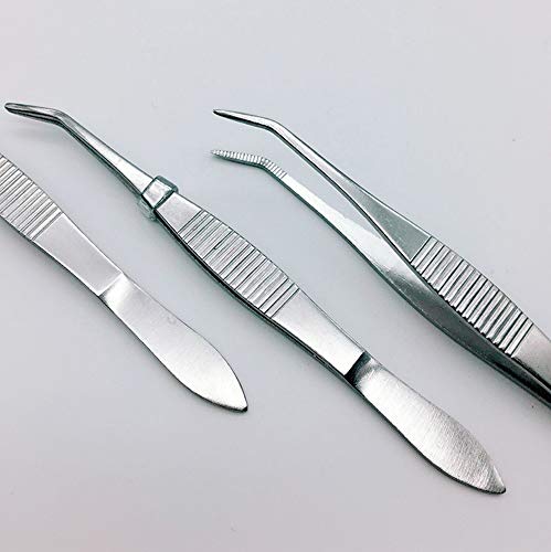 2 PCS 4 Inch Professional Stainless Steel Medical Dental Straight Forceps and Curved Tip Tweezers Multifunction Eyebrow Cosmetic Tools DIY Accessories Extractor Clamp