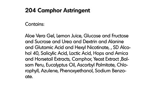 RAYA Camphor Astringent 6 oz (204) | Effective Facial Toner for Oily and Break-Out Skin | Helps Dry Up Blemishes and Control Excessive Oiliness | Made With Camphor and Eucalyptus