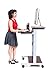 Stand Up Desk Store Rolling Adjustable Height Two Tier Standing Desk Computer Workstation (Silver Frame/Dark Walnut Top, 32