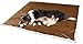 KritterWorld Pet Microplush Sherpa Snuggle Blanket, 50-Inch-by-60-Inch Brown