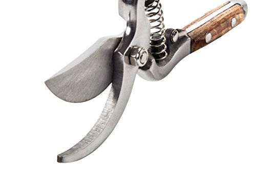 Gardtech 8" Stainless Steel Bypass Shear Pruning Shears Garden Scissors - Thumbnail 4