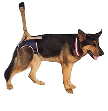 Innovation India Dog Hind Support and Rehabilitation Harness, Large Dogs Lift Canines Aid Assist Sling for Disabled, Injured, Elderly Pets (XL)