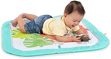 bright starts birds and blooms activity gym