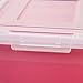 IRIS 4-Piece Letter and Legal Size File Box Storage, Clear