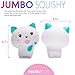 Squishies Cat Squishy Toys for Kids - Newest - Jumbo Squishies Slow Rising - Animal Squishys Stress Relief Toys - Super Soft and Slow - Kawaii Squishies - Fruit Scented Toy - Party Favors for Kids