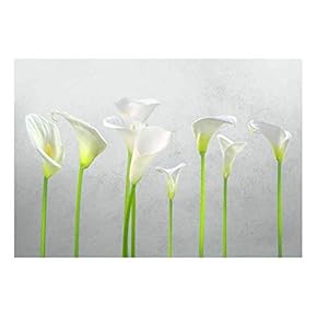 Arum Lilies with Gray Textured Background - Wall Mural, Removable Sticker, Home Decor - 66x96 inches