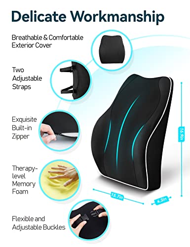 TRAVEL EASE Ergonomic Lumbar Support Cushion, Memory Foam Back Support for Car Seat Office Chair Gaming Chair, Backrest with Skin-friendly Cover & Dual Adjustable Straps, Black
