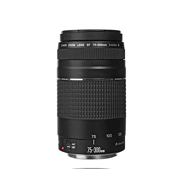 Leichter Telezoom mit USM, EF 75-300 mm f/4-5.6 III Objektiv. – Bild 4