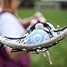 Lacrosse Ball - NCAA NFHS Certified - Multi Color