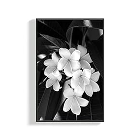 Canvas Wall Art for Living Room, Bedroom Plants Framed Canvas Prints for Home Decoration Ready to Hang - 16x24 inches