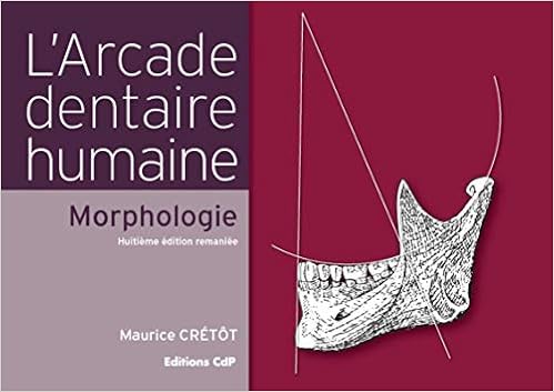 Amazon Fr L Arcade Dentaire Humaine Morphologie Cretot Maurice Livres Amazon Fr L Arcade Dentaire Humaine Morphologie Cretot Maurice Livres