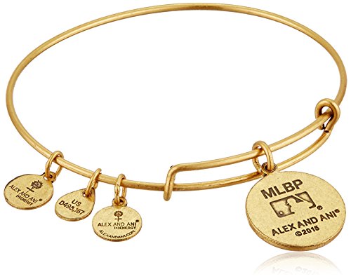 Alex And Ani Mlb San Francisco Giants Charm Bangle Desertcart INDIA