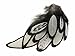 Moonlight Feather | 1 Dozen - Natural White Whiting Farms Laced Hen Saddle Feathers Fly Tying Craft Halloween Supply