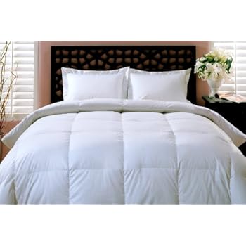 Amazon Com Blue Ridge Home Fashions King Down Comforter Home