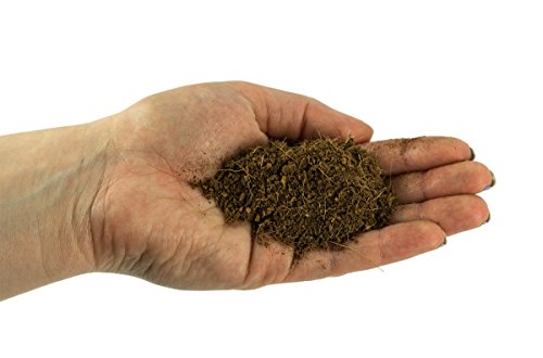 Josh's Frogs Coco Block Fine Coco Fiber (5 kg/38 quarts)