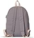 Veenajo Canvas Classic Backpack for School Travel Daypack Laptop Backpack with USB Charging Port (Grey)