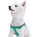 Blueberry Pet Essentials Step-in Dog Harness, Medium Size | Adjustable Emerald Vest | Classic Solid Nylon for Boy & Girl Dogs, Chest Girth 20