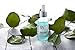 Hyaluronic Acid Serum For Skin & Face - 100% Pure - Hydrating Anti Aging Serums - Intense Hydration & Moisture - Plumps Skin - Moisturizing Anti Wrinkle - Best Hyaluronic Acid Serum For Face (1oz/30m