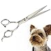 Petroad 7 Inches Professional Pet Grooming Scissors Kit Stainless Steel Blade Home Cutting Curved Thinning Shear Kit with Combs
