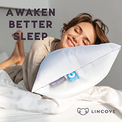 Lincove Cloud Natural Canadian White Down Luxury Sleeping Pillow 625