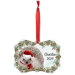 Four Toed Hedgehog Christmas Ornament 2024