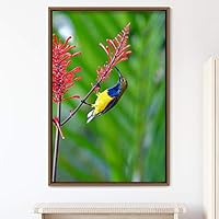 Framed Canvas Wall Art Single Bird Birds Expressive Farmhouse/Country Multicolor Photography Portrait Single - 16x24 inches