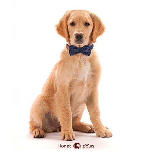 Lionet Paws Dog and Cat Collar with Bowtie,Soft and Comfortable,Adjustable Collar