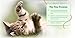 Feline Pine Original 100% Natural Cat Litter, 20Lb