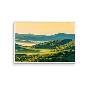 Framed Canvas Wall Art for Living Room, Bedroom Plain Canvas Prints for Home Decoration Ready to Hang - 16x24 inches