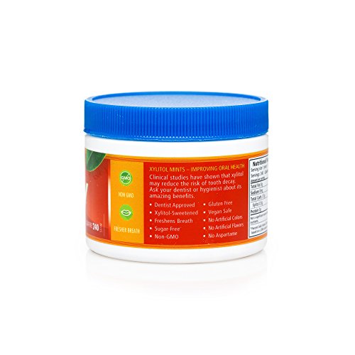 Spry Natural Cinnamon Xylitol Mints, 240 Count (Pack of 1) - //medicalbooks.filipinodoctors.org