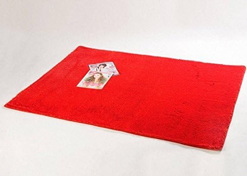 Super Soft Modern Area Rugs, CWKTITI Living Room Carpet Bedroom Rug Solid Home Decorator Floor Rug and Carpets 2.6- Feet By 5- Feet (Red)