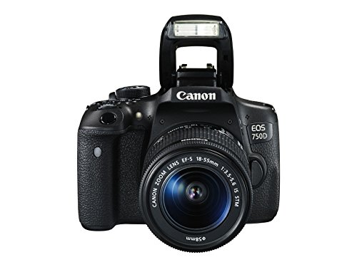 Cámara réflex digital de 24.2 Mp (pantalla 3