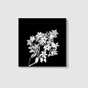 Framed Canvas Home Artwork Decoration Beautiful Flower Canvas Wall Art for Living Room, Bedroom - 16x16 inches