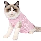 Dotoner Cat Professional Recovery Suit, Surgical