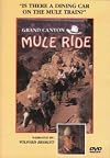 Grand Canyon Mule Ride