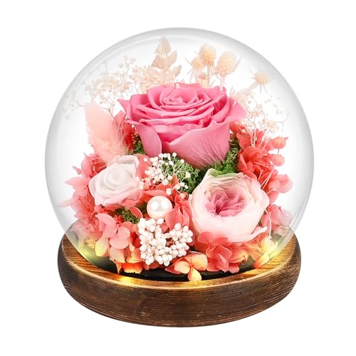 Comius Sharp Preserved Natural Eternal Rose, Eternal Rose with LED Lights, Bouquet Flowers in Glass Dome, Christmas Gifts Women Mom, Valentine's Day Mother's Day Gift (B)