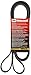 Motorcraft JK61031AB V-Ribbed Belt